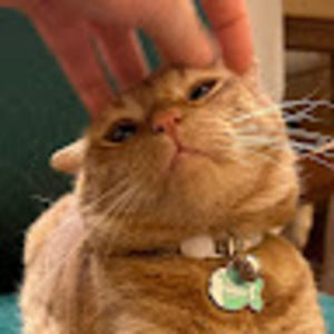 Meet your Posher, Lans